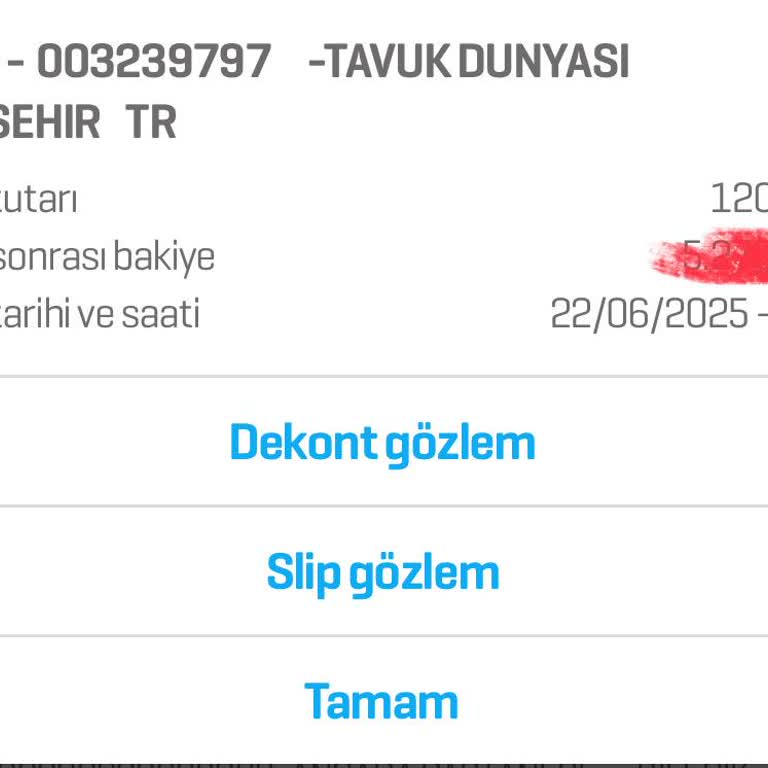 Soğuk Yemek Uzun Bekleyiş Ve Yüksek Ayran Ücretiyle Hayal Kırıklığı