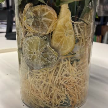 Küflenmiş Çiçek Ve Yetersiz Müşteri Hizmeti Nedeniyle Mağduriyet