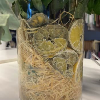 Küflenmiş Çiçek Ve Yetersiz Müşteri Hizmeti Nedeniyle Mağduriyet