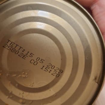 Islak Ve Bozuk Ton Balığı Deneyimi Hayal Kırıklığı Yarattı