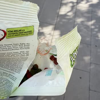 Kedi Mamasının İçinden Çıkan Yabancı Madde Güvenimi Sarstı