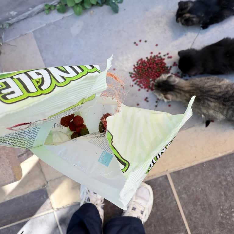 Kedi Mamasının İçinden Çıkan Yabancı Madde Güvenimi Sarstı