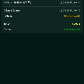 Alobet Kazancımın Ödemesi Hesabıma Yansımadı