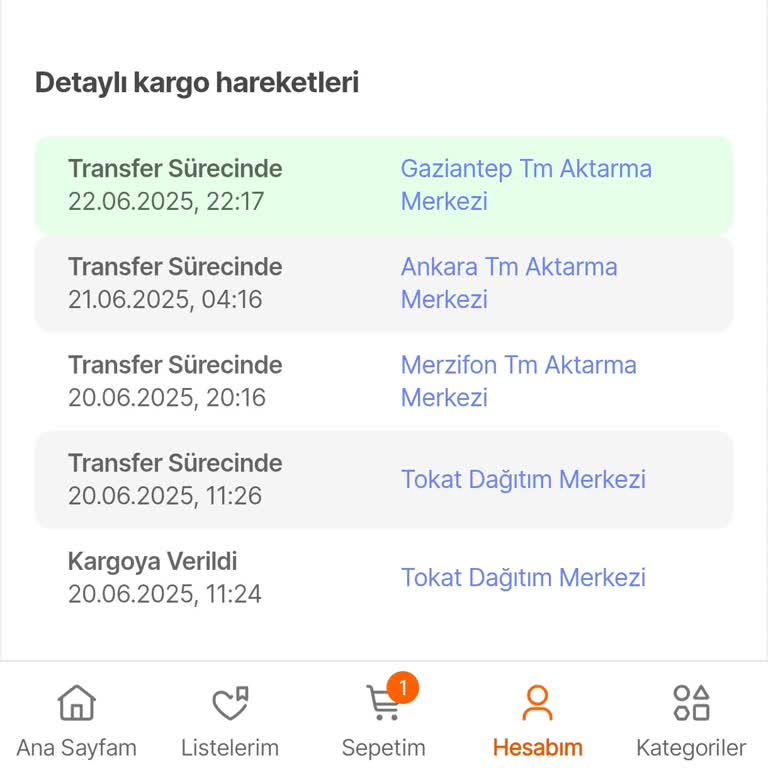 Kargom Türkiye Turu Yapıyor, Ürün Hala Elimde Yok!