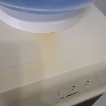 Bosch Su Sebilinde Garanti Sonrası Güvenlik Sorunu Ve Servis Yetersizliği