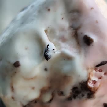 Dondurmanın İçinden Çıkan Böcek Kızımın Psikolojisini Bozdu