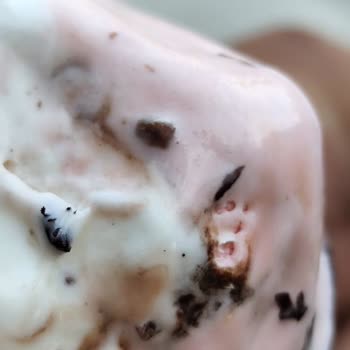 Dondurmanın İçinden Çıkan Böcek Kızımın Psikolojisini Bozdu