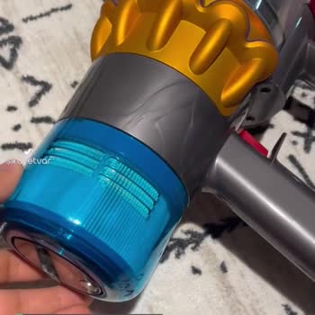 Dyson'ın İlgisizliği, Müşteri Mağdurluğu