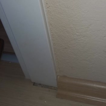 Lavinia Mutfak Evi Yarım Bıraktı