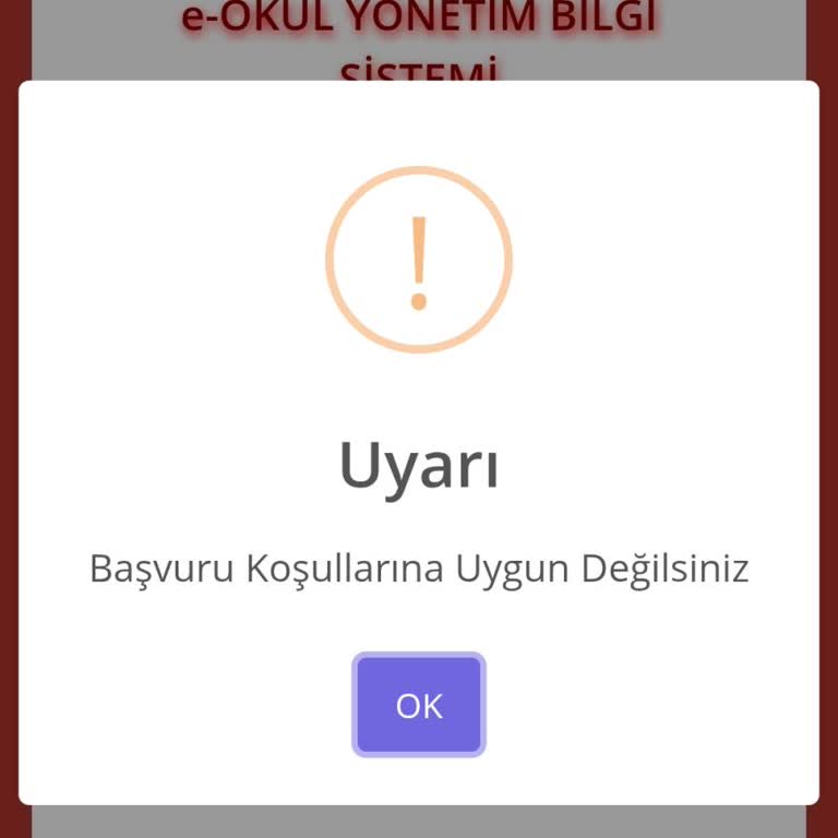 Spor Lisesi Başvuru Sisteminde Sürekli Hata Alıyorum