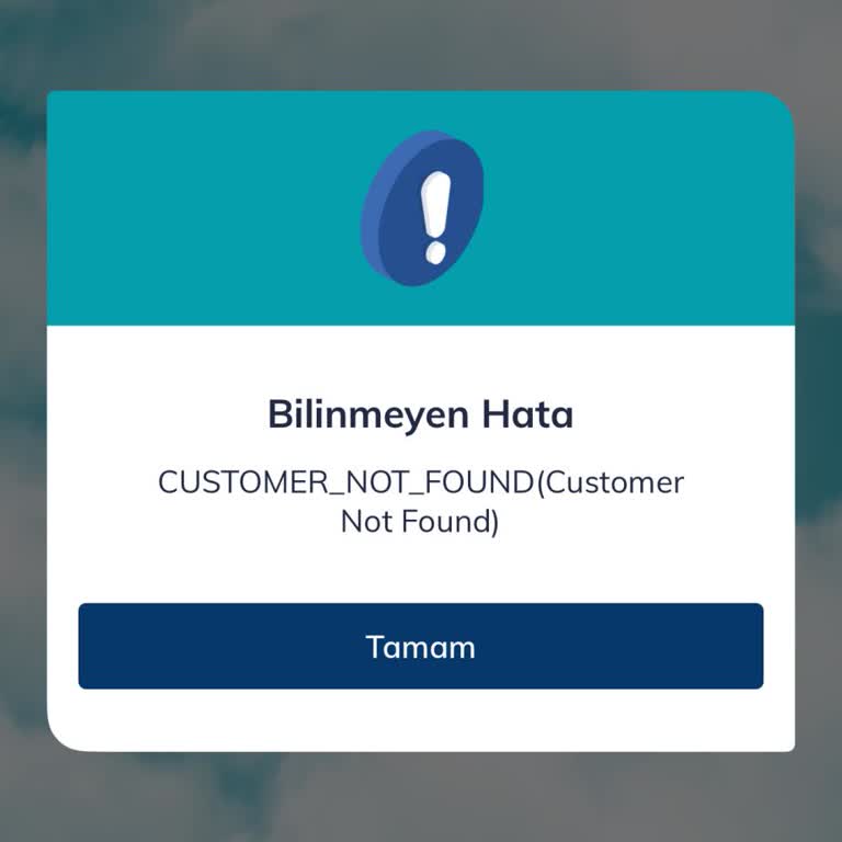 Sil Süpür Uygulamasına Erişemiyorum, Müşteri Hizmetleri Yetersiz