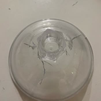 İlk Kullanımda Kırılan Narenciye Sıkacağı Ve Yedek Parça Sorunu