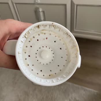 Munchkin Sulukta Küflenme Sorunu Ve Yetersiz Bilgilendirme