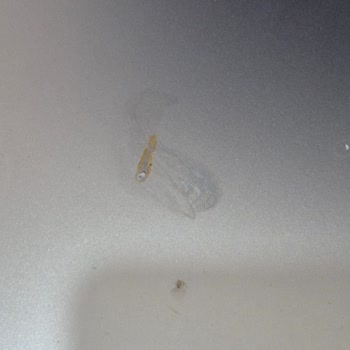 Bosch Bulaşık Makinesinde Paslanma Ve Yetersiz Servis Deneyimi