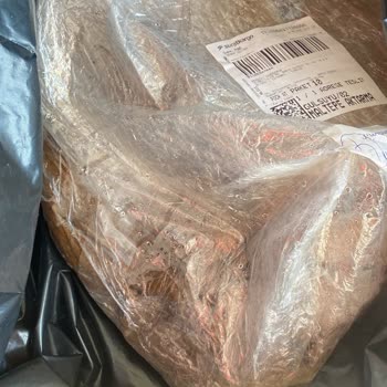 Siparişimde Ölü Ve Hatalı Balıklar Gönderildi, Mağdur Edildim