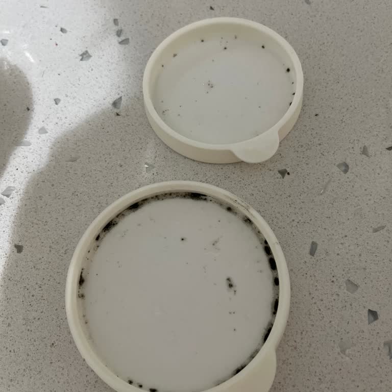 Lav Cam Su Şişesi Kapaklarında Geçmeyen Küf Ve Lekeler