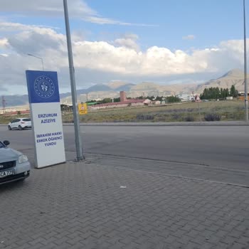 Otobüs Firmasının İlgisizliği Ve Mağduriyete Sebep Olması