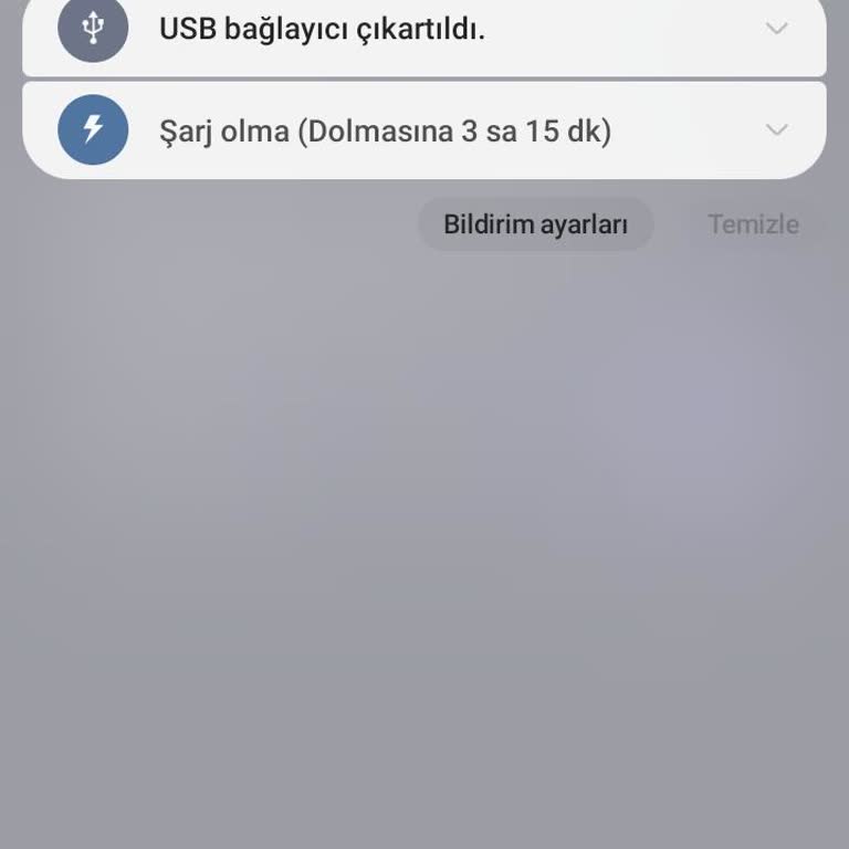 Telefonumun Ekranı Kapanmıyor Ve USB Uyarısı Sürekli Çıkıyor