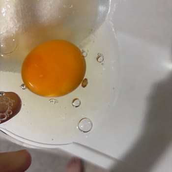 Raya Organik Yumurtalarda Kötü Koku Ve Bozulma Şikayeti