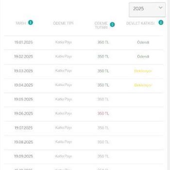 Garanti Emeklilikte 6 Aydır Kayıp Ödeme Ve Hesapta Görünmeyen Para