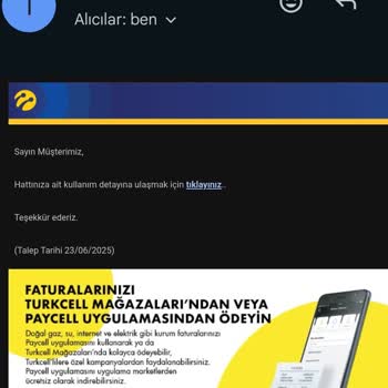 Talep Edilen Data Kullanım Raporu Sağlanmıyor