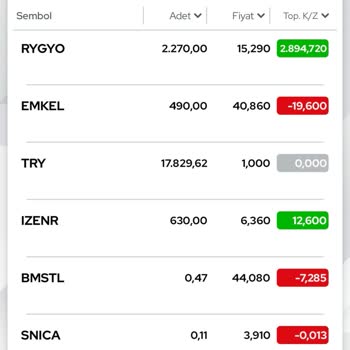 ZBorsa Uygulamasında Hisse Satışı Sonrası Bakiyem Ekside Görünüyor
