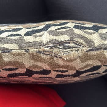 Dört Ayda Tüylenen Ve Deforme Olan Koltuk İçin Çözüm Bekliyorum