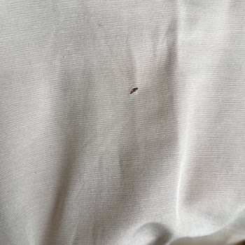 Eksik Ve Defolu Ürünler, İletişim Sıkıntısı Ve İade Sorunu