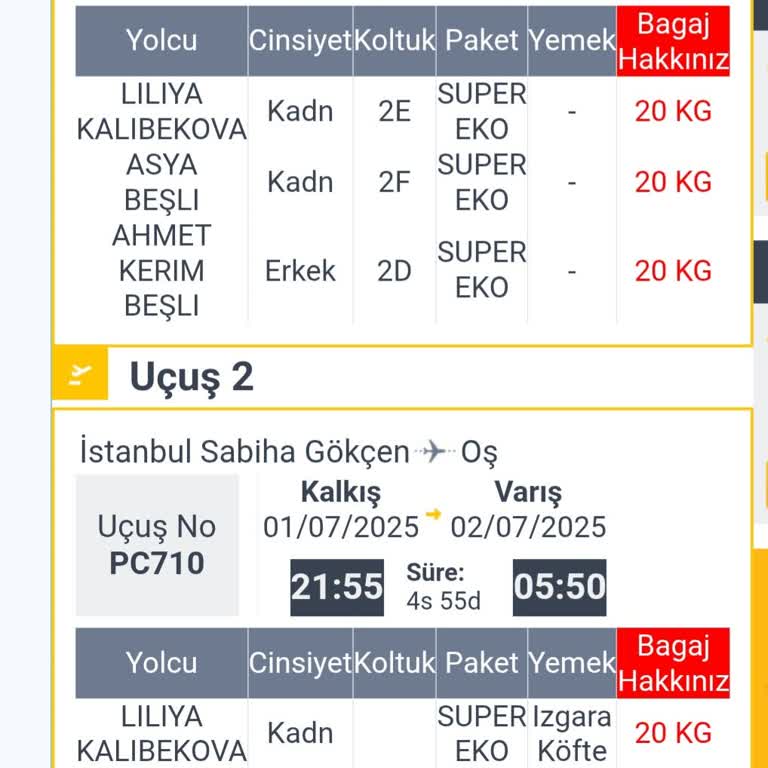 Koltuk Seçimi Yanlış Uçuşa Atandı, Müşteri Hizmetlerine Ulaşılamıyor