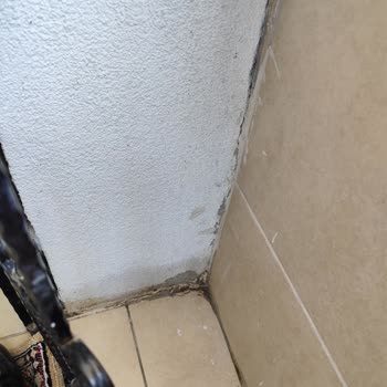 Su Kaçağı Nedeniyle Evim Hasar Gördü Çözüm Bekliyorum