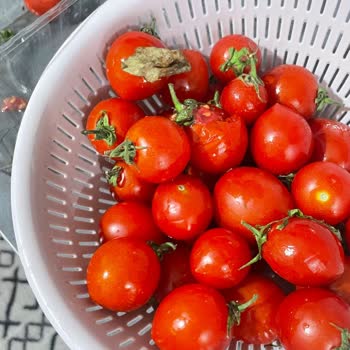 Migros Sanal Market’ten Sürekli Bozuk Ve Eksik Ürün Teslimatı