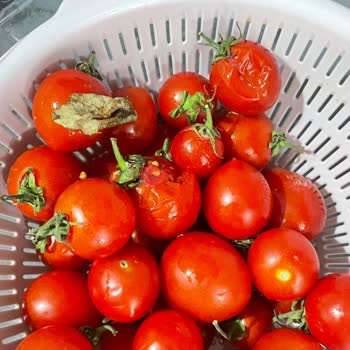 Migros Sanal Market’ten Sürekli Bozuk Ve Eksik Ürün Teslimatı