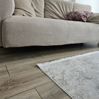 Divan Evden Alınan Koltuklar Çöktü Servis İlgisiz Kaldı