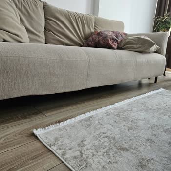 Divan Evden Alınan Koltuklar Çöktü Servis İlgisiz Kaldı