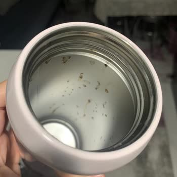 Stanley Su Şişesi 2 Ayda Paslandı, Garanti Dışı Bırakıldım!