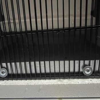 Kiwi Su Sebilinde Su Kaçağı Ve Yetersiz Müşteri Hizmeti Deneyimi