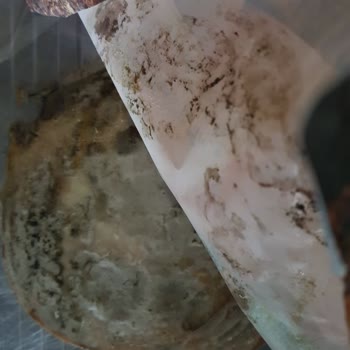 Son Kullanma Tarihi Geçmemiş Salamda Küf Ve Müşteri Hizmetlerine Ulaşılamaması