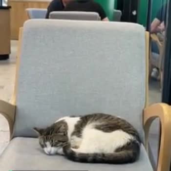 Krispy Kreme Ortaköy Hijyenik Değil