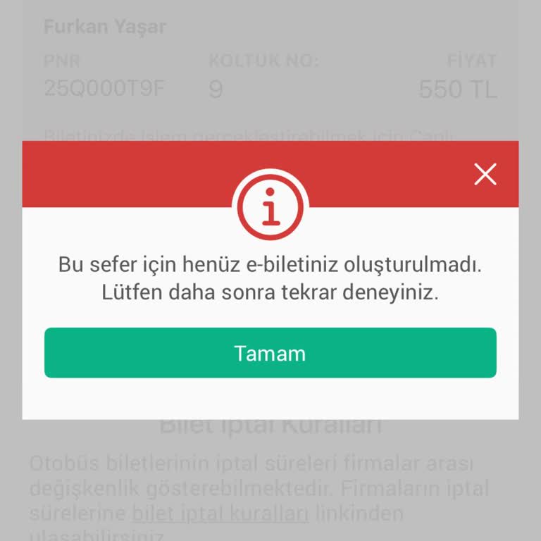E-Bilet İndirme Sorunu Ve Müşteri Hizmetlerine Ulaşılamıyor