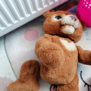 Trendyol Express Kargoda Ürünüm Kırık Geldi, Mağdur Edildim