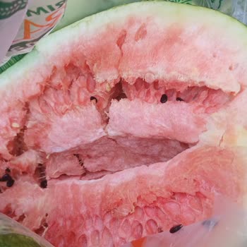 Tarım Kredi Kooperatif Market Aldığım Karpuz Hayal Kırıklığı