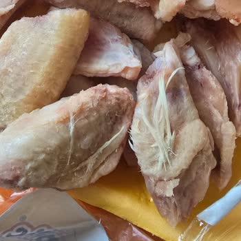 Erpiliç Tavuklarda Tüy Sorunu Ve Hijyen Endişesi