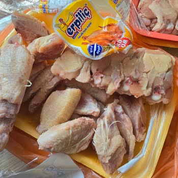 Erpiliç Tavuklarda Tüy Sorunu Ve Hijyen Endişesi