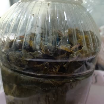 @egeden_tazelik Siparişimde Gösterilenin Aksine Kalitesiz Yaprak Gönderildi