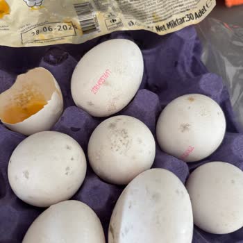 Son Tüketim Tarihi Geçmemiş Yumurtalar Bozuk Çıktı!