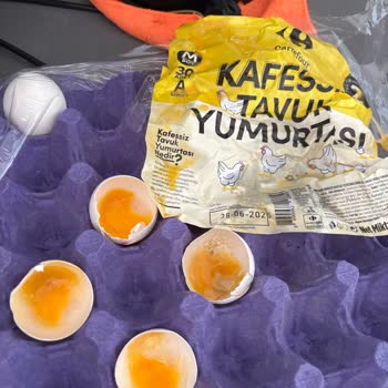 Son Tüketim Tarihi Geçmemiş Yumurtalar Bozuk Çıktı!
