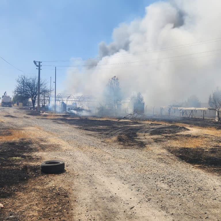 Betcio'da Güven Sorunu Ve Müşteri Hizmetleri Eksikliği