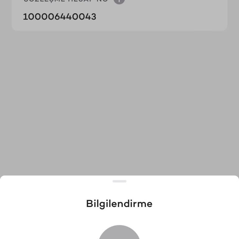 Güvence Bedeli Ödemesi İçin Gönderilen Hesapta Borç Görünmüyor