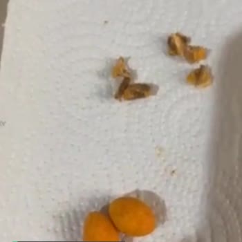 Amigo Soslu Cips Fıstık