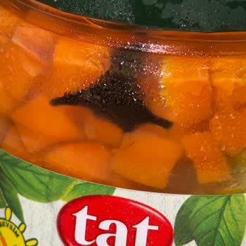 Kapalı Garnitür Kutusunda Şüpheli Oluşum!